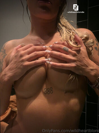 Wildheartblondie image