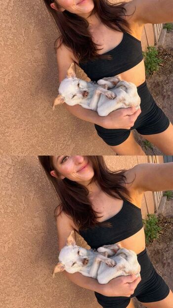 Willow shields 1 image