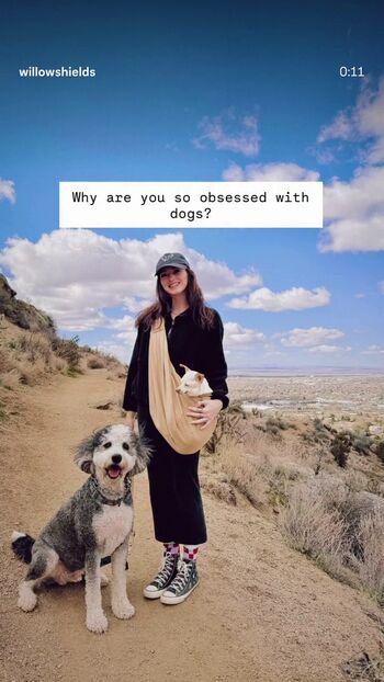 Willow shields 1 image