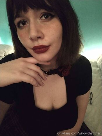 willowchantrieri