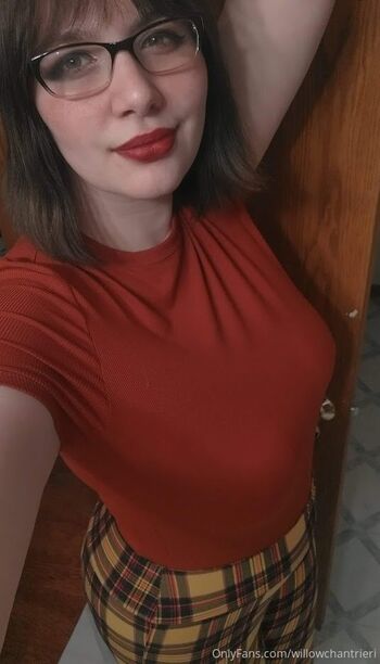 willowchantrieri