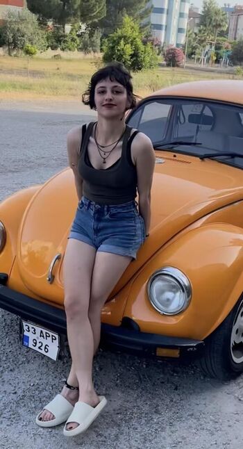 Wiquinkue page 2 image