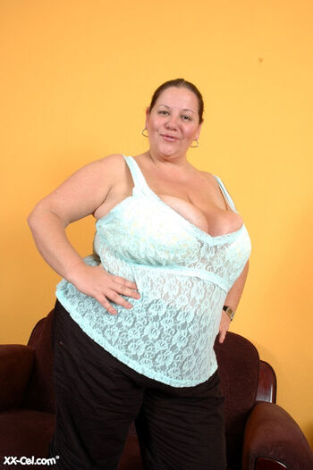 Wondertracy image