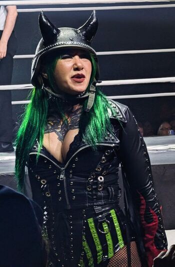 Wwe shotzi page 3 image
