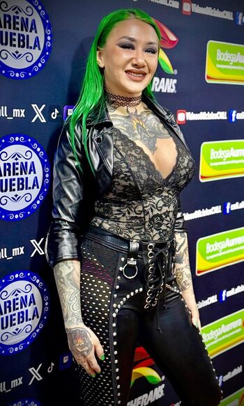 Wwe shotzi page 2 image