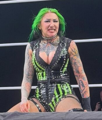 Wwe shotzi page 2 image