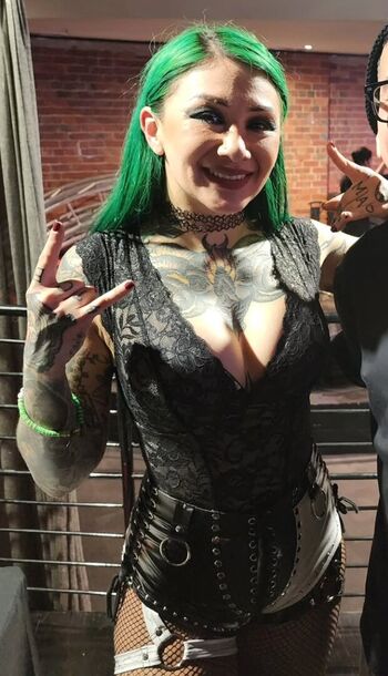 Wwe shotzi image