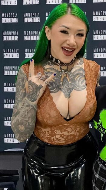Wwe shotzi image