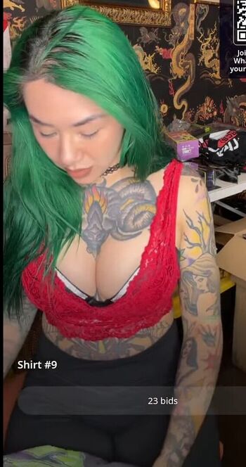 Wwe shotzi image
