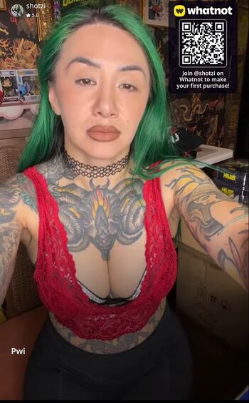 Wwe shotzi image
