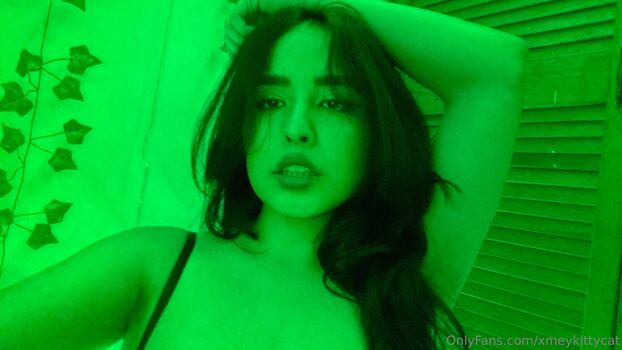 Xmeykittycat page 2 image