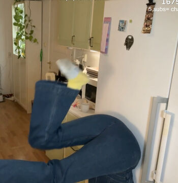 Yaboielina image