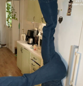 Yaboielina image