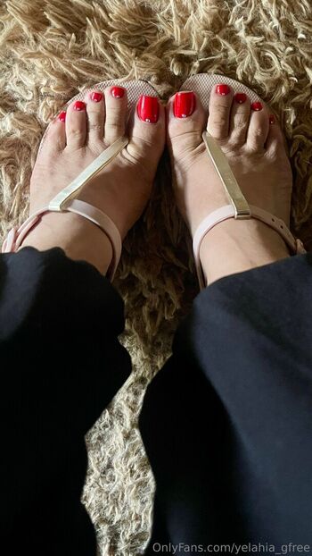 yelahia_gfree