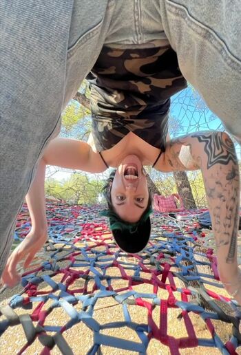 Yungelderberry 1 image