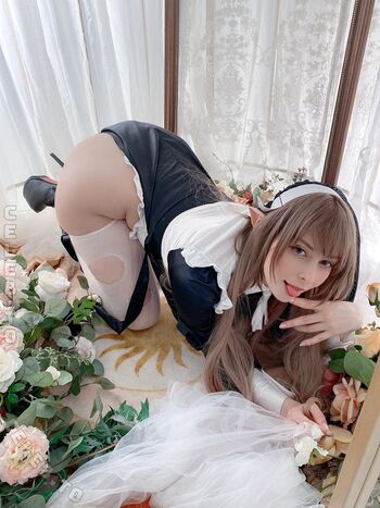 Yuriko tiger image