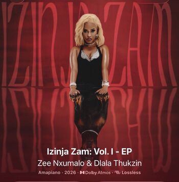 Zee nxumalo image