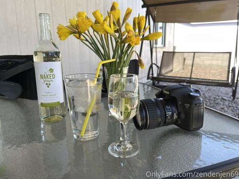 Zendenjen page 2 image