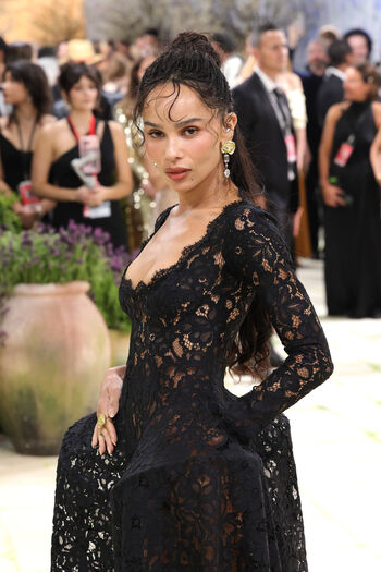 Zoe kravitz page 2 image